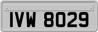 IVW8029