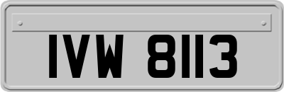 IVW8113