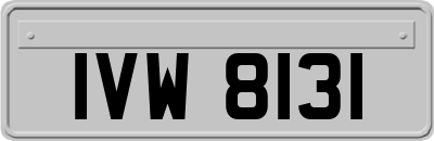 IVW8131