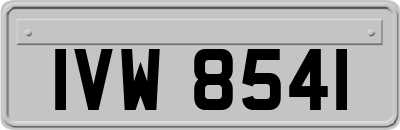 IVW8541