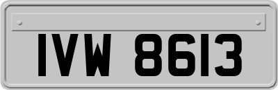 IVW8613