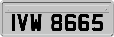 IVW8665