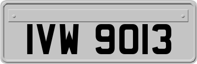 IVW9013