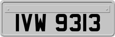 IVW9313