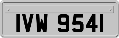IVW9541
