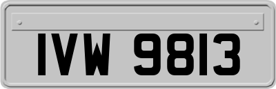 IVW9813