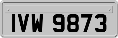 IVW9873
