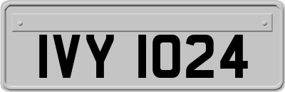 IVY1024