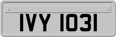 IVY1031