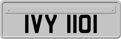IVY1101
