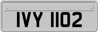 IVY1102