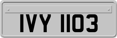 IVY1103