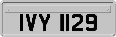 IVY1129