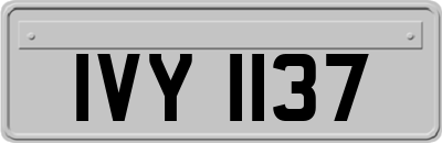 IVY1137