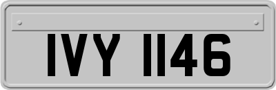 IVY1146