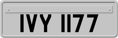 IVY1177