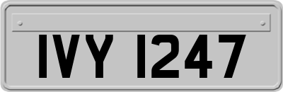 IVY1247