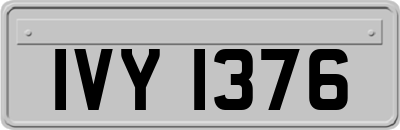 IVY1376