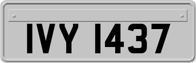IVY1437