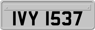IVY1537