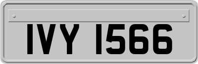 IVY1566