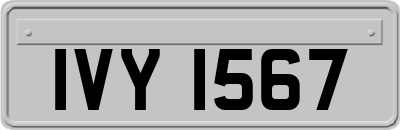 IVY1567