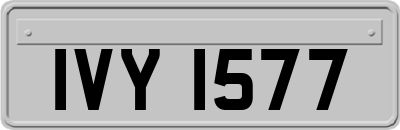 IVY1577