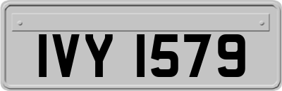 IVY1579