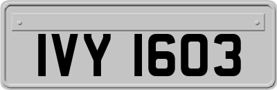 IVY1603