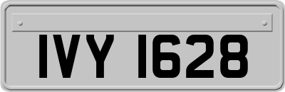 IVY1628