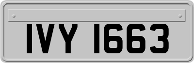 IVY1663