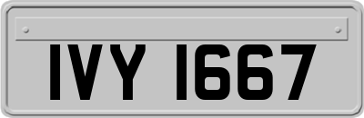 IVY1667
