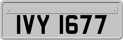 IVY1677