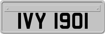 IVY1901