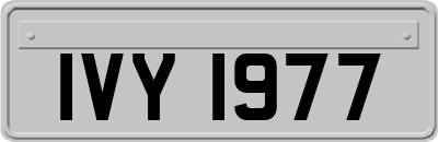 IVY1977