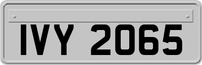IVY2065