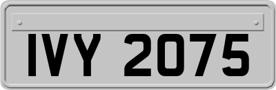 IVY2075