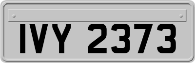 IVY2373