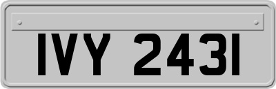 IVY2431