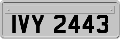 IVY2443