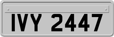 IVY2447