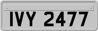 IVY2477