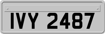 IVY2487