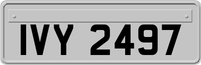 IVY2497