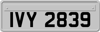 IVY2839