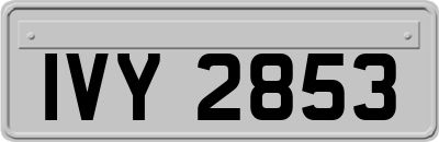 IVY2853