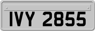 IVY2855