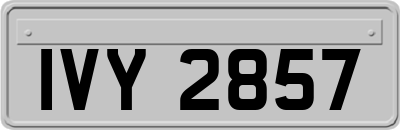 IVY2857