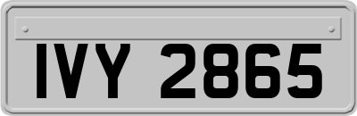 IVY2865
