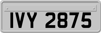 IVY2875